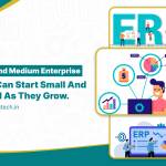 How SMEs Grow Step-by-Step Using Modular ERP Solutions